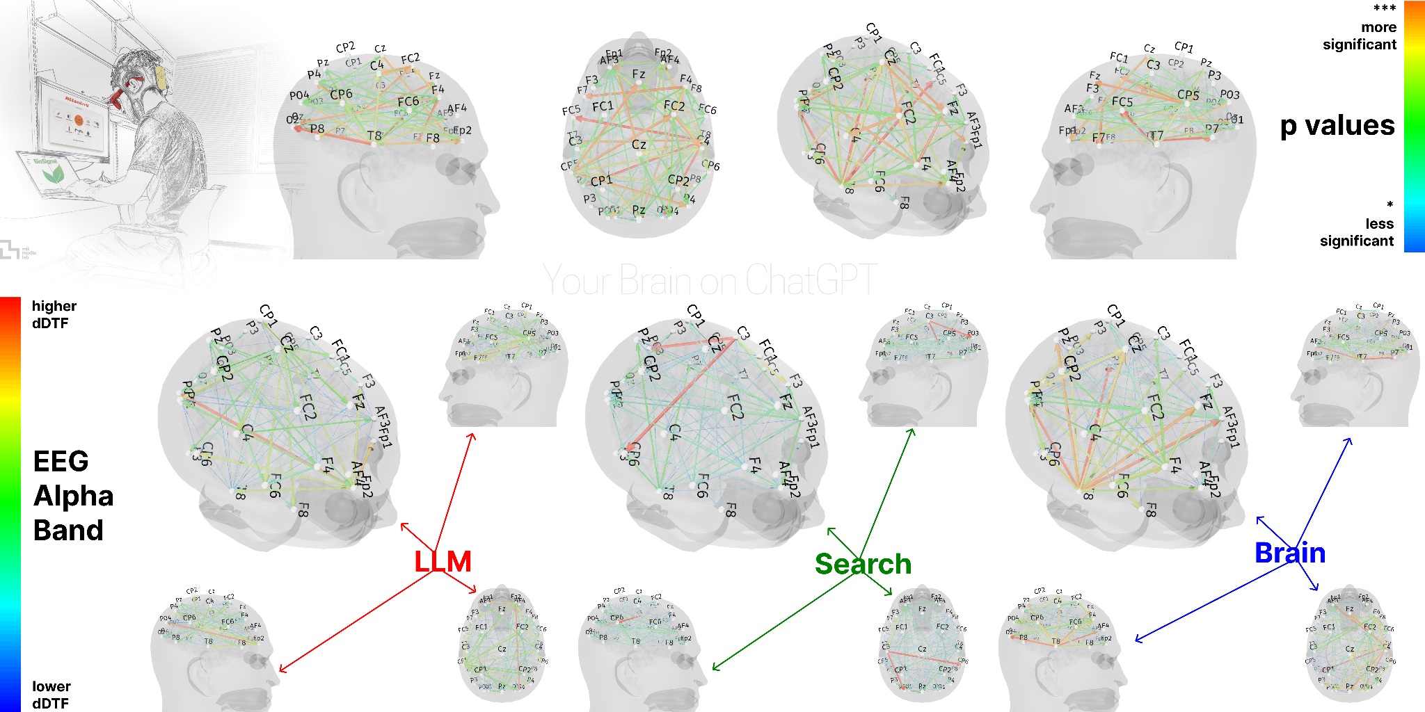 The dynamic Direct Transfer Function (dDTF) EEG analysis of Alpha Band for groups: LLM, Search Engine, Brain-only.